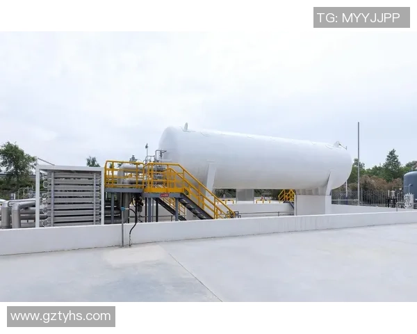 专业解读:LNG的转换打法 专业解读:LNG的转换打法