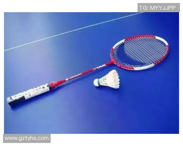 羽毛球新手攻略：团队协作入门指南