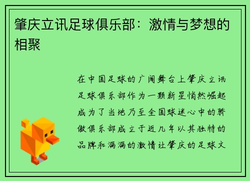 肇庆立讯足球俱乐部：激情与梦想的相聚
