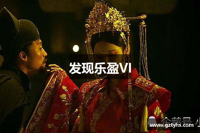 发现乐盈VI